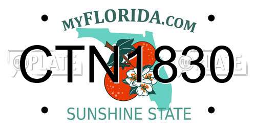 CTN1830 Florida License Plate