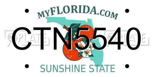 CTN5540 Florida License Plate
