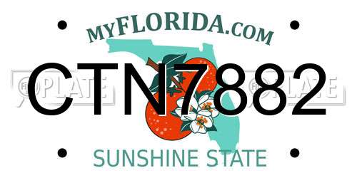 CTN7882 Florida License Plate