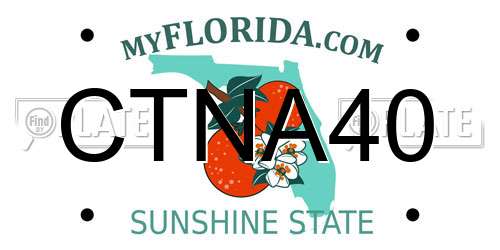 CTNA40 Florida License Plate
