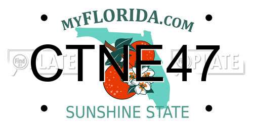 CTNE47 Florida License Plate