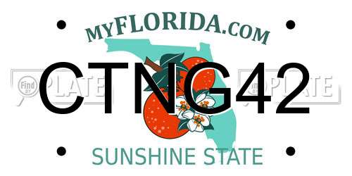CTNG42 Florida License Plate