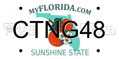 CTNG48 Florida License Plate