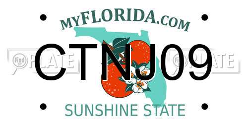 CTNJ09 Florida License Plate