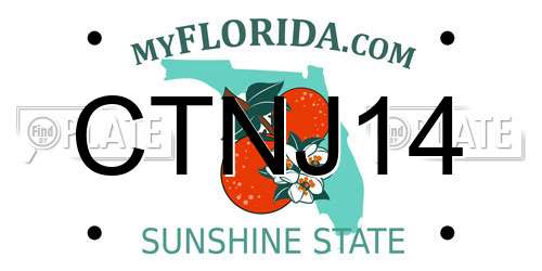 CTNJ14 Florida License Plate