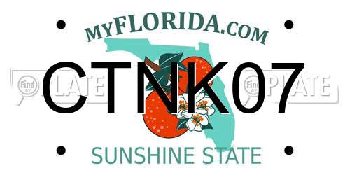 CTNK07 Florida License Plate