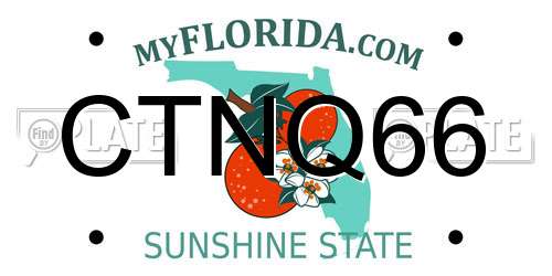 CTNQ66 Florida License Plate