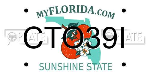 CTO39I Florida License Plate