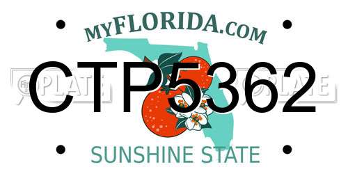 CTP5362 Florida License Plate