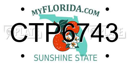 CTP6743 Florida License Plate