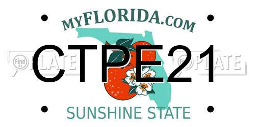CTPE21 Florida License Plate