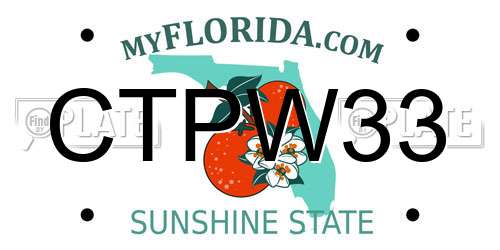CTPW33 Florida License Plate