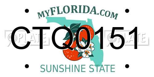 CTQ0151 Florida License Plate
