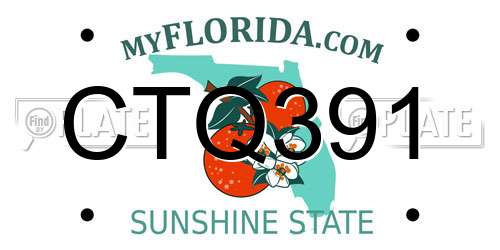CTQ391 Florida License Plate