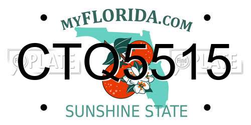 CTQ5515 Florida License Plate