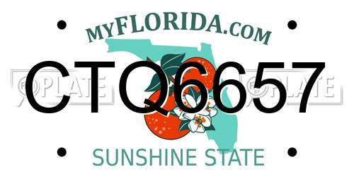 CTQ6657 Florida License Plate