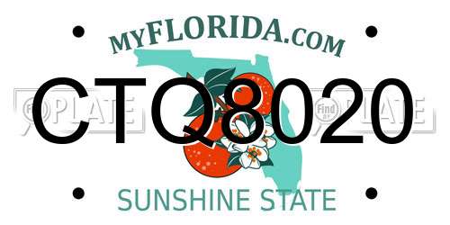 CTQ8020 Florida License Plate