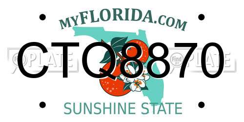 CTQ8870 Florida License Plate