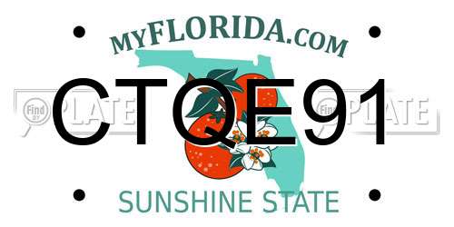 CTQE91 Florida License Plate