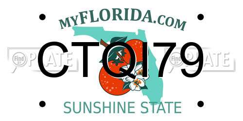 CTQI79 Florida License Plate