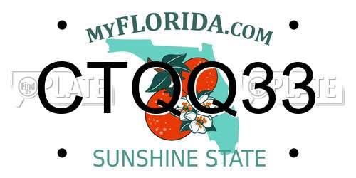 CTQQ33 Florida License Plate