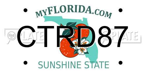 CTRD87 Florida License Plate