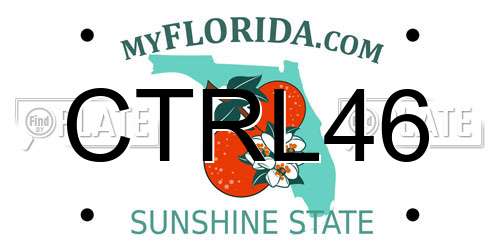 CTRL46 Florida License Plate