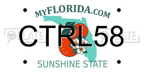 CTRL58 Florida License Plate