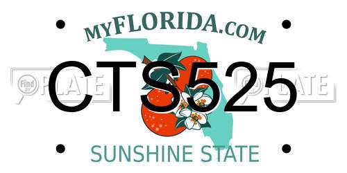 CTS525 Florida License Plate