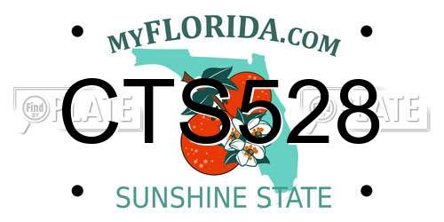 CTS528 Florida License Plate