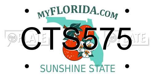 CTS575 Florida License Plate