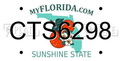 CTS6298 Florida License Plate