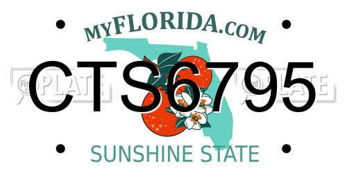 CTS6795 Florida License Plate
