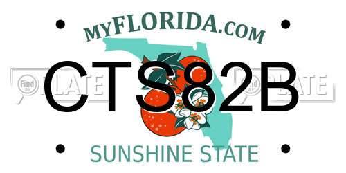 CTS82B Florida License Plate