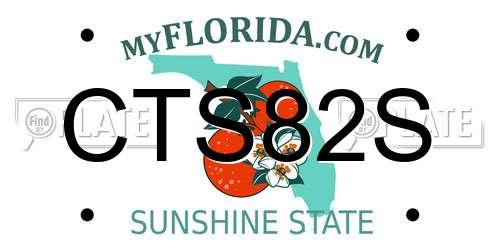 CTS82S Florida License Plate