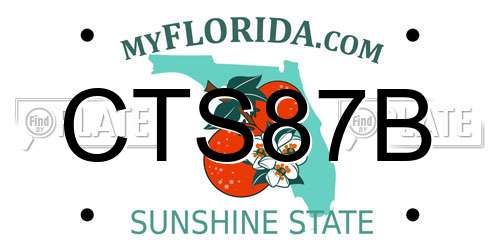 CTS87B Florida License Plate