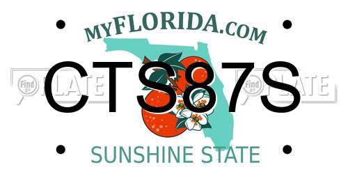 CTS87S Florida License Plate