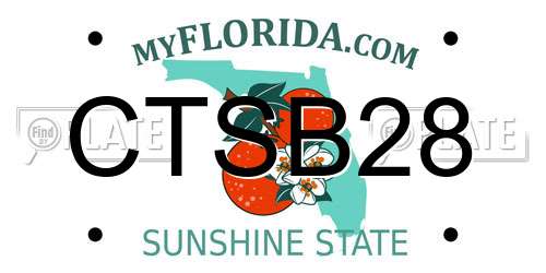 CTSB28 Florida License Plate