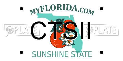 CTSII Florida License Plate
