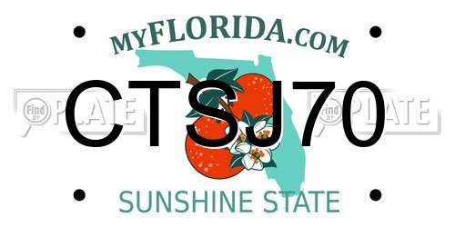 CTSJ70 Florida License Plate