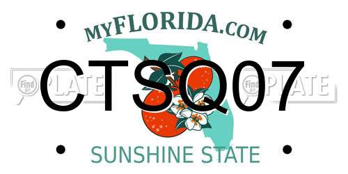 CTSQ07 Florida License Plate