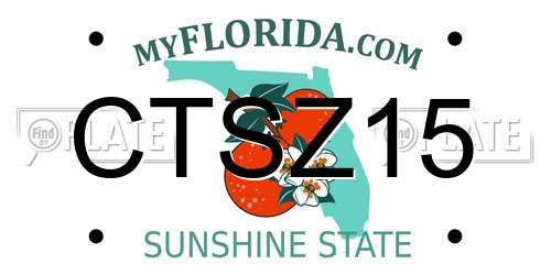 CTSZ15 Florida License Plate