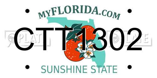 CTT1302 Florida License Plate