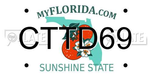 CTTD69 Florida License Plate