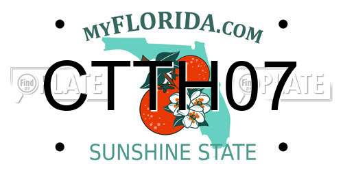 CTTH07 Florida License Plate