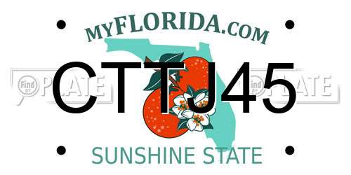 CTTJ45 Florida License Plate