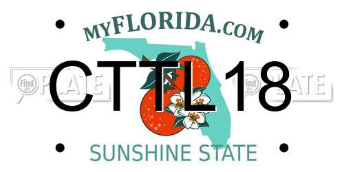 CTTL18 Florida License Plate