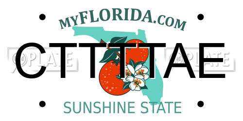 CTTTTAE Florida License Plate