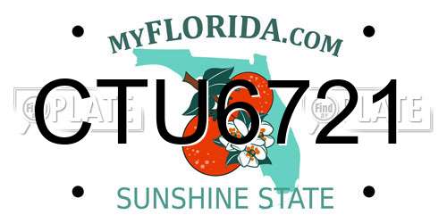 CTU6721 Florida License Plate