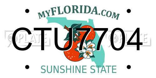 CTU7704 Florida License Plate